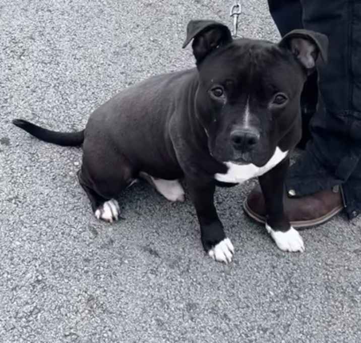 Photo of Melvin