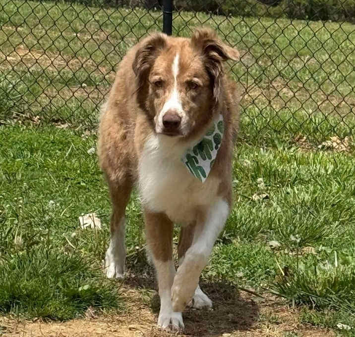 Photo of 0659 Arthur