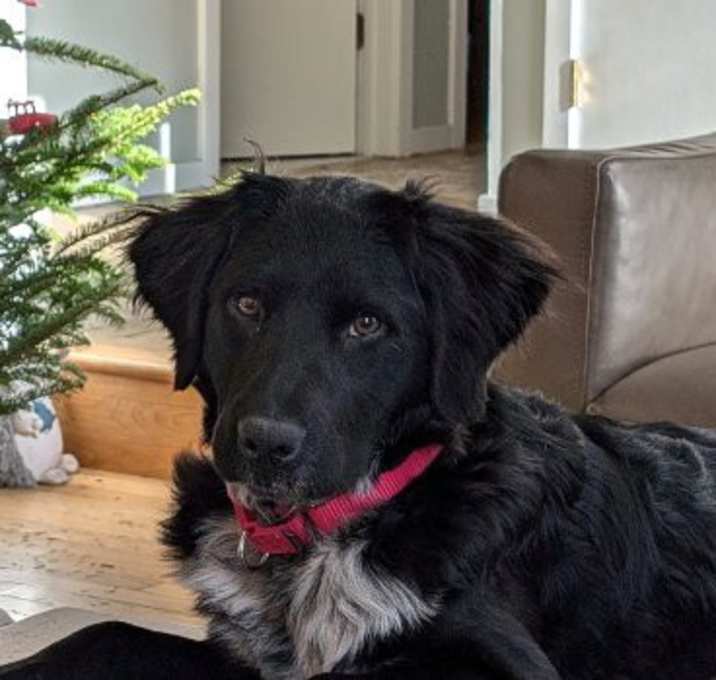 Photo of Nancy