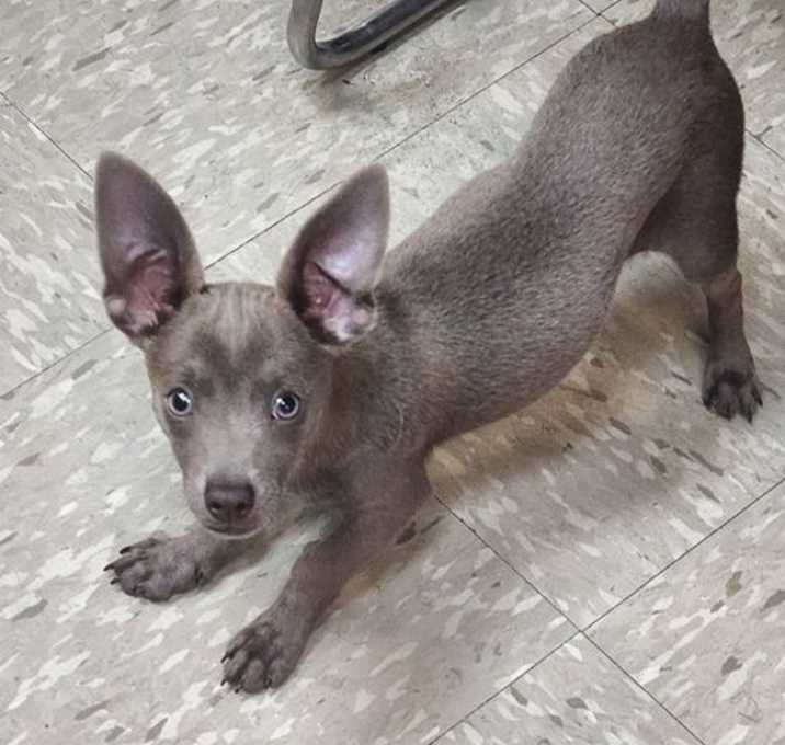 Photo of Flynn