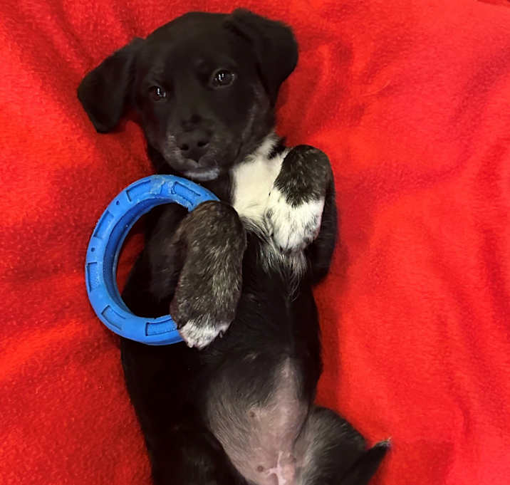 Photo of Baby Chloe