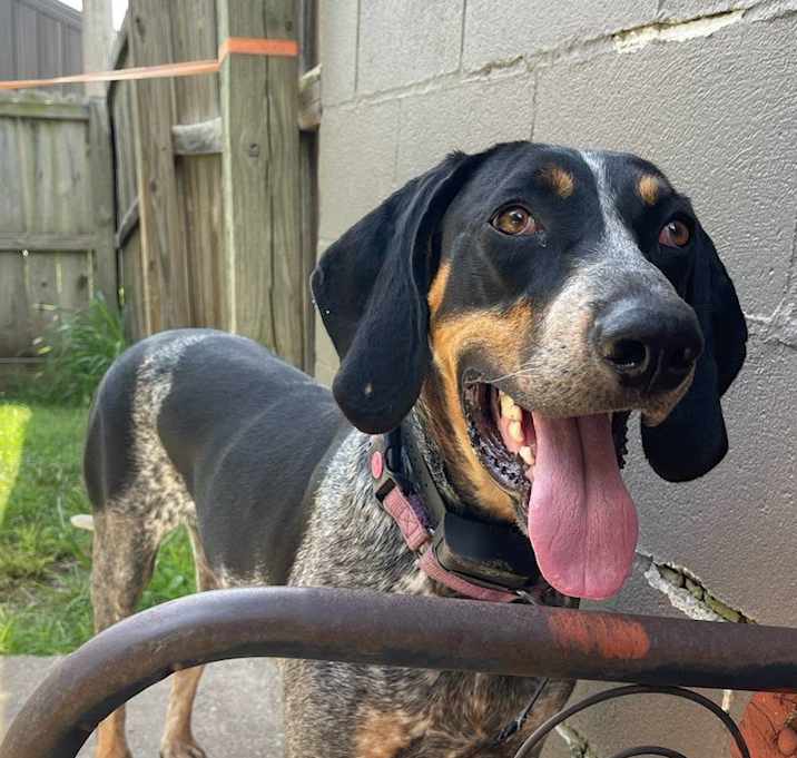 Photo of Skeeter