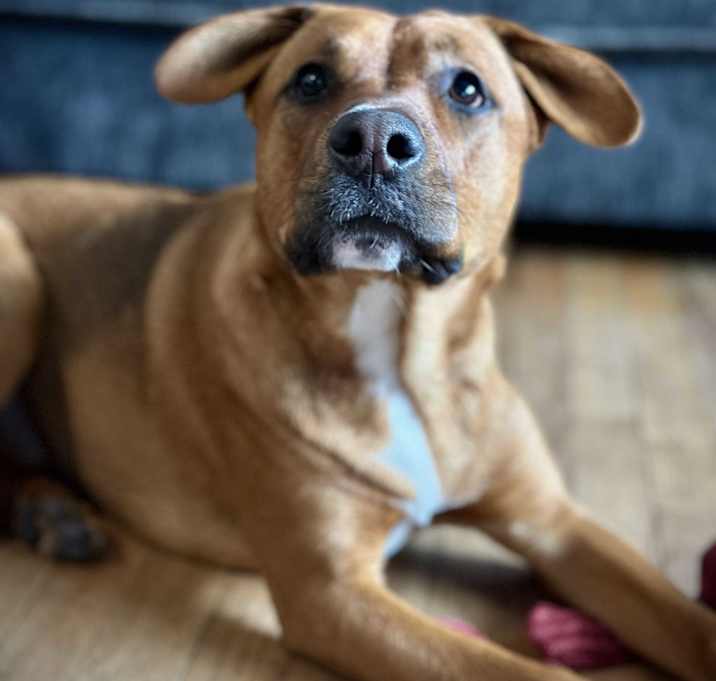Photo of Ruby