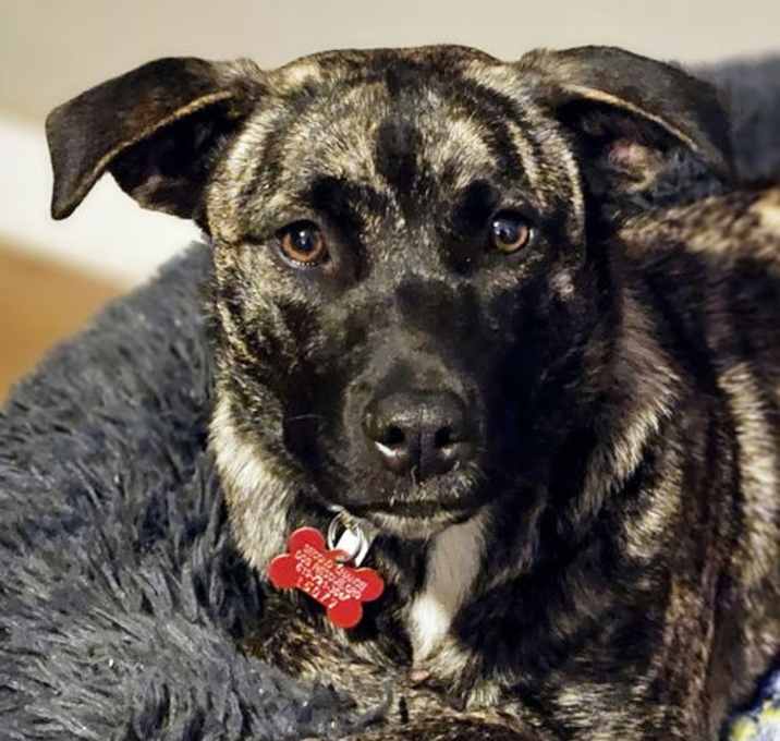 Photo of Mia