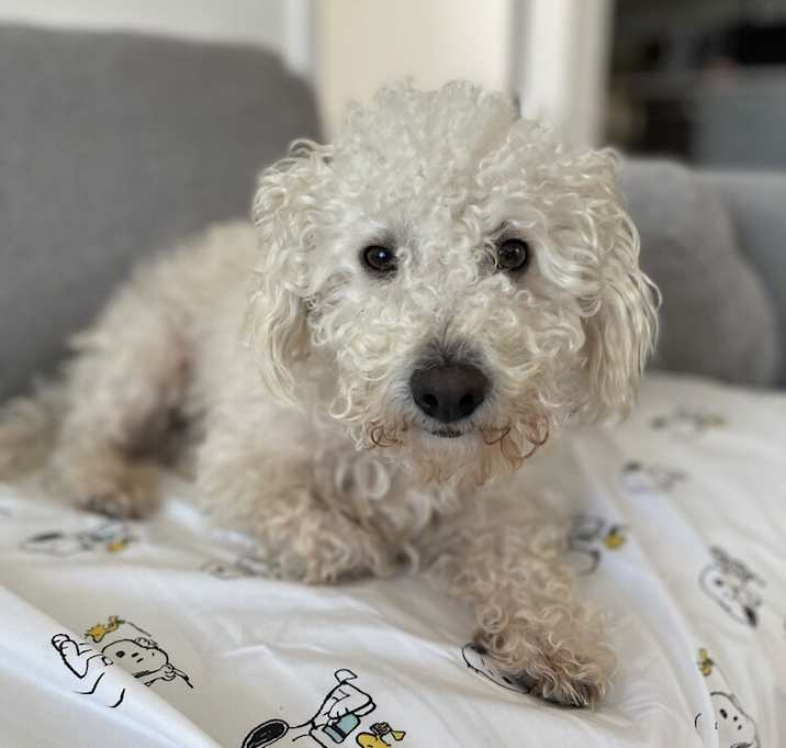Photo of Angel