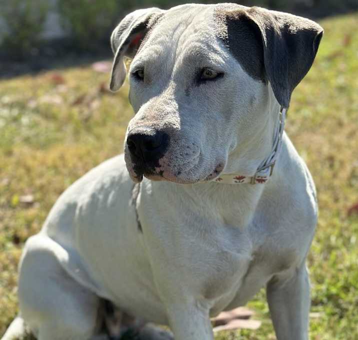 Photo of Doug