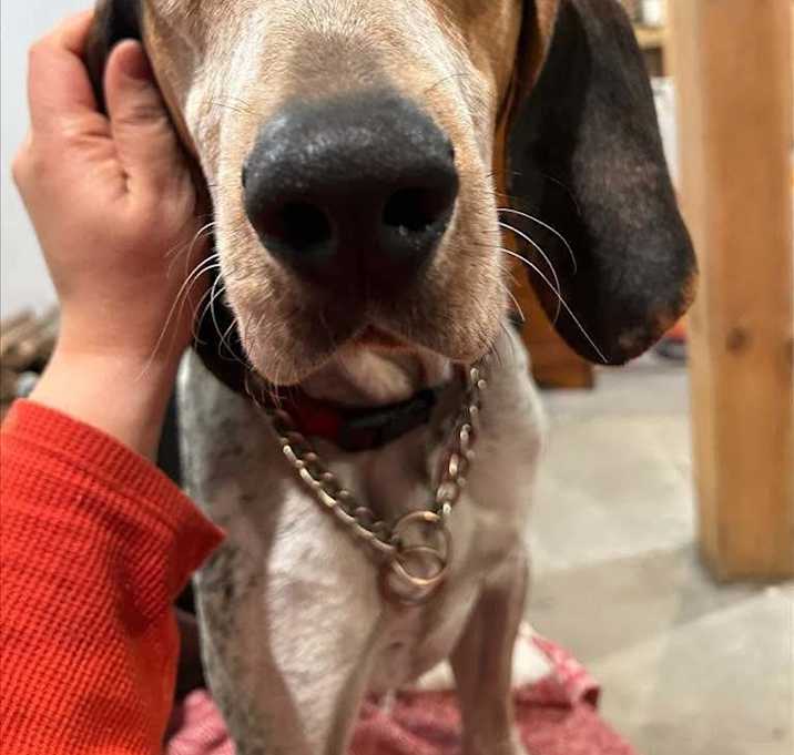 Photo of Frank