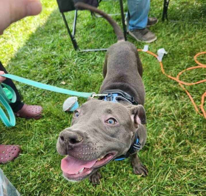 Photo of Emmy