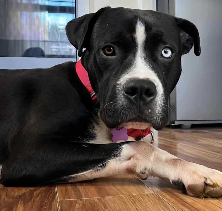 Photo of Buster Brown