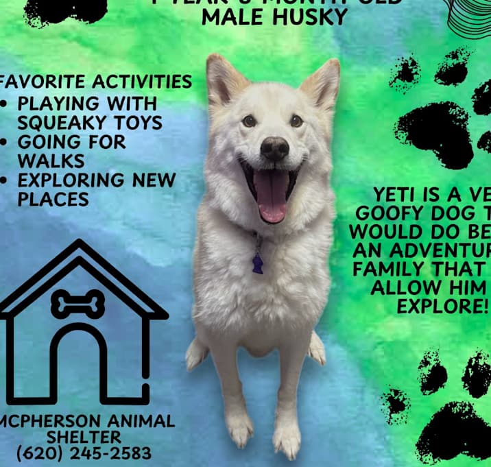 Photo of Yeti