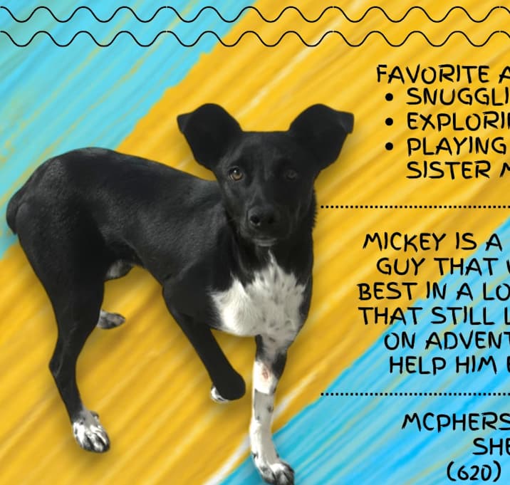 Photo of Mickey