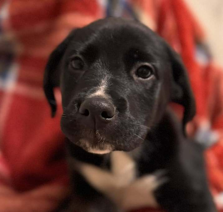 Photo of Baby Oliver