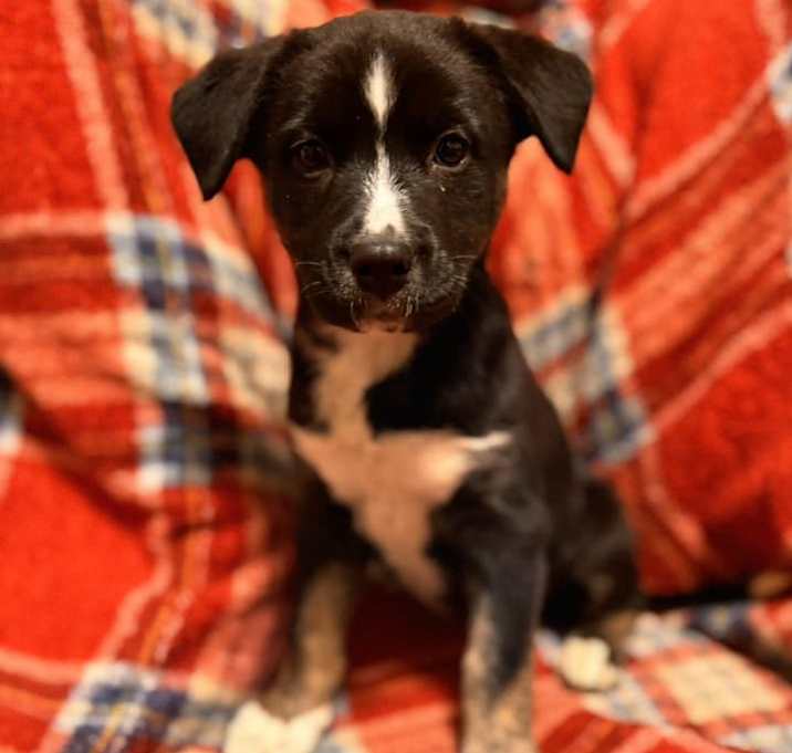 Photo of Baby Flora