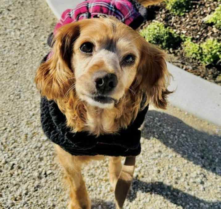 Photo of Elsa