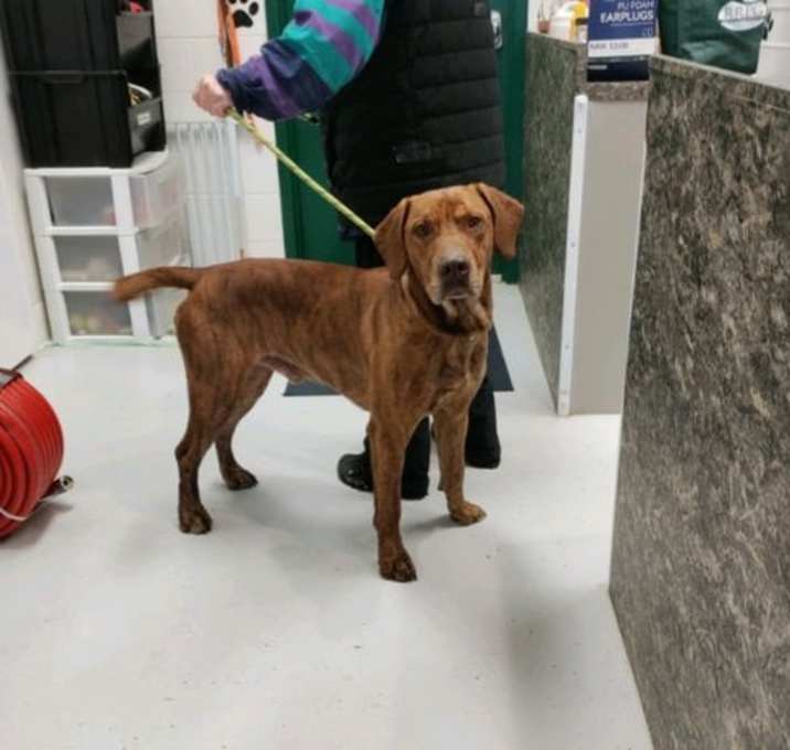 Photo of Woodrow