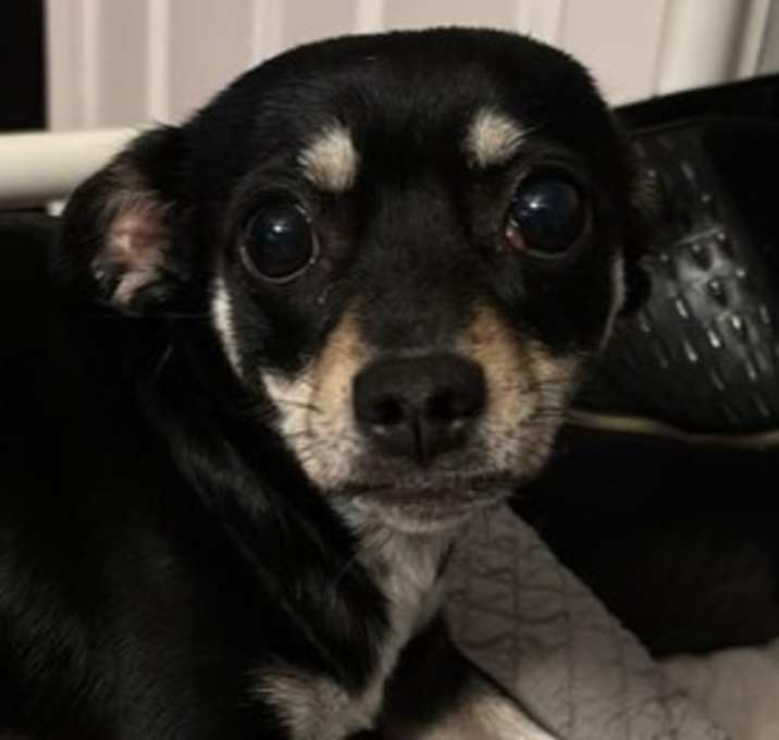 Photo of Pepsi~