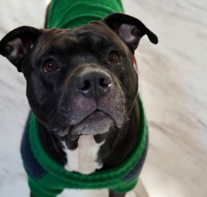 Photo of Astro