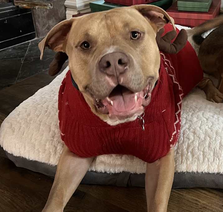 Photo of Bruce