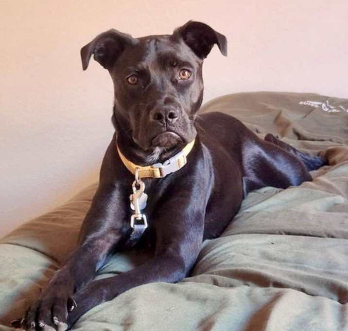 Photo of Jet