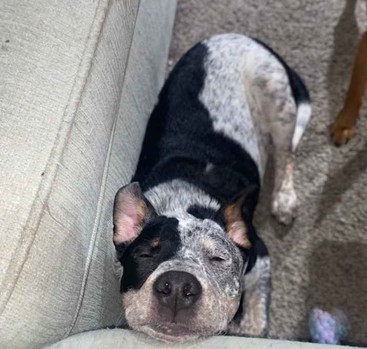 Photo of Linkin