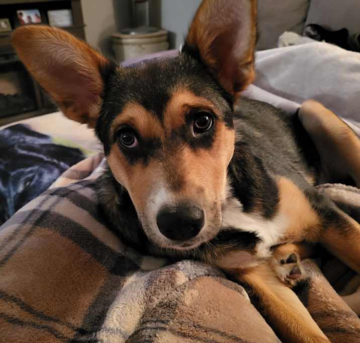 Photo of Charley