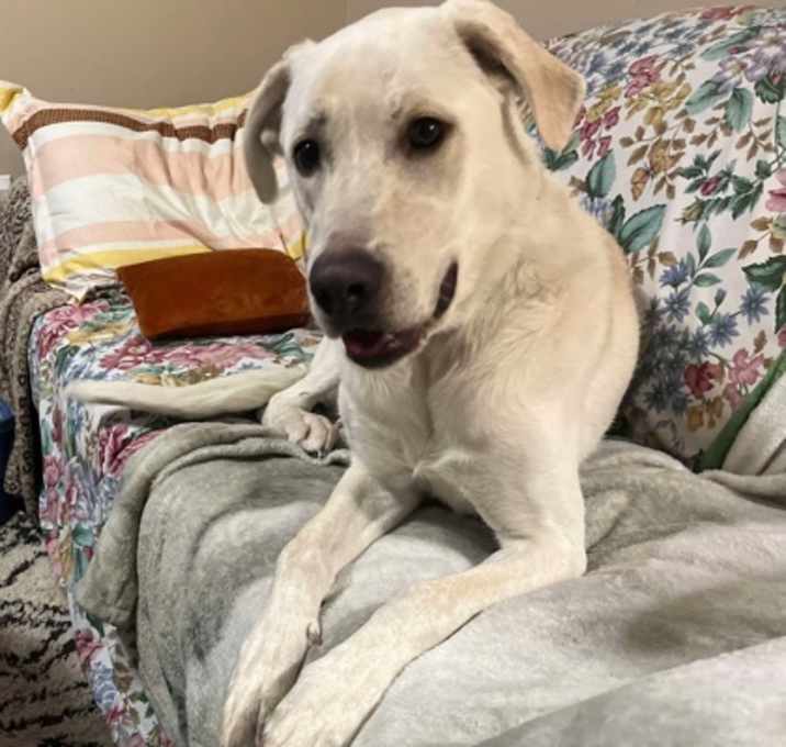 Photo of Briley