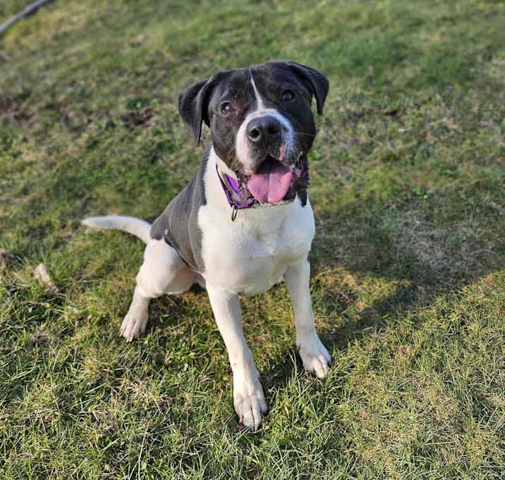 Photo of Huck