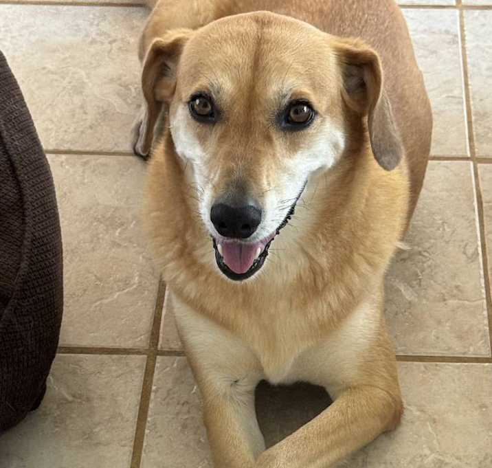 Photo of Katie
