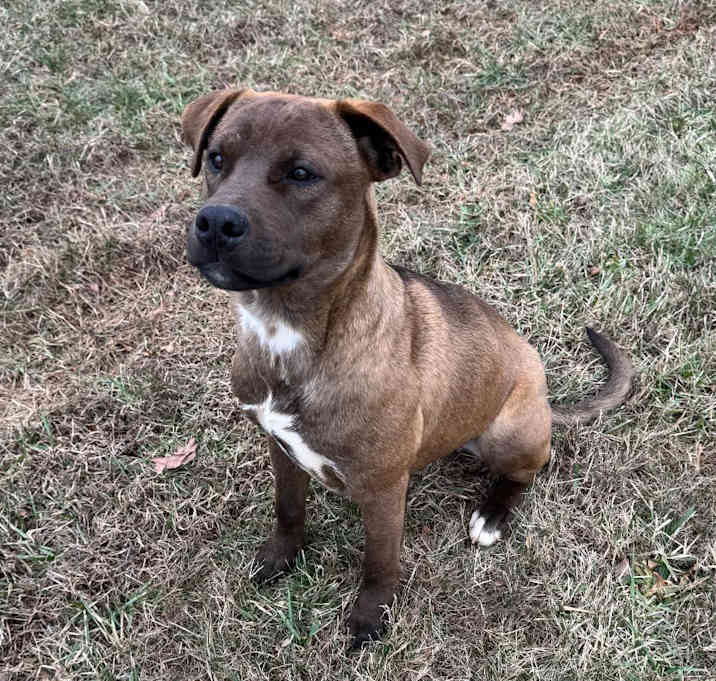 Photo of Skipper