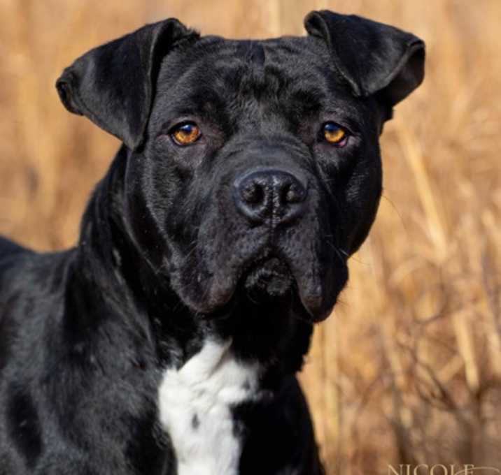 Photo of Jasper