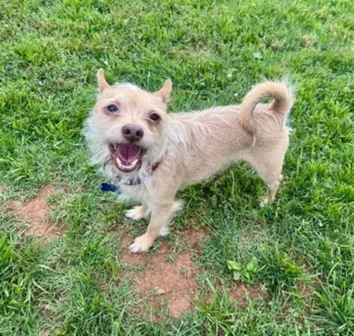 Photo of Roscoe