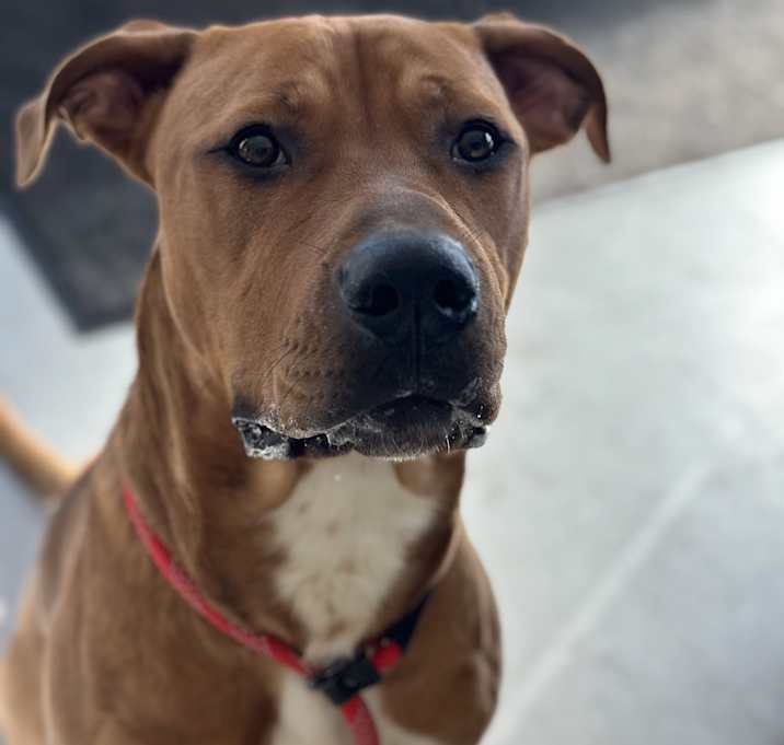 Photo of Sir Charles