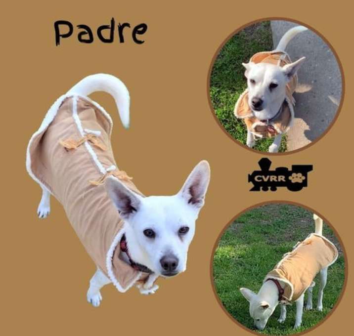 Photo of Padre