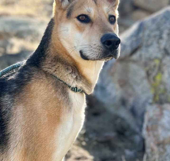Photo of Honor