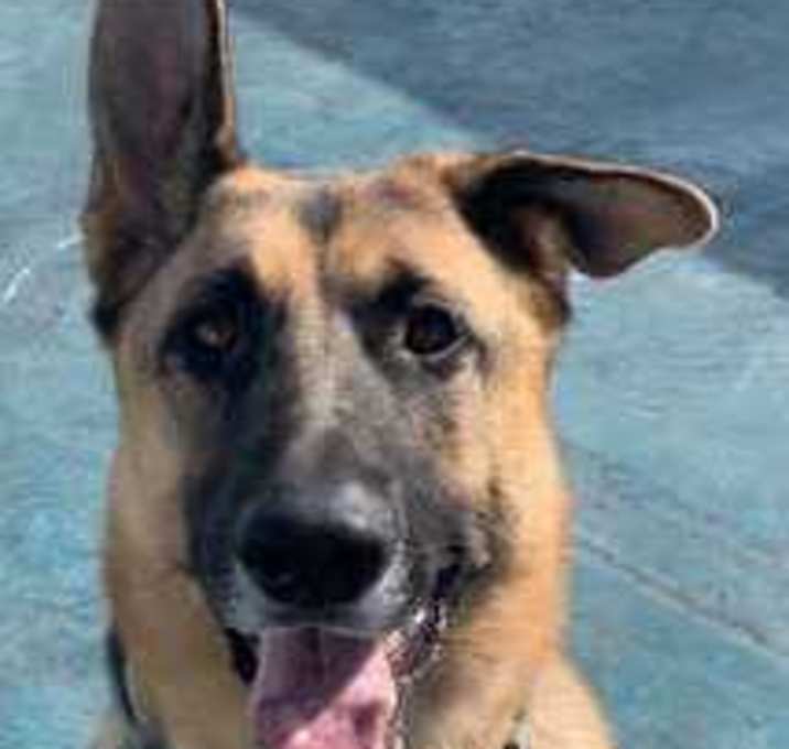 Photo of Polo
