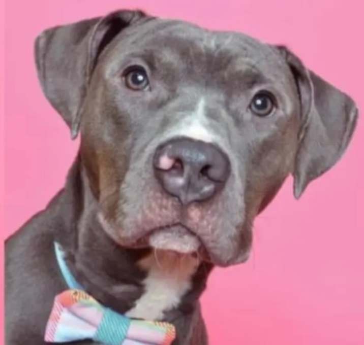 Photo of Deuce