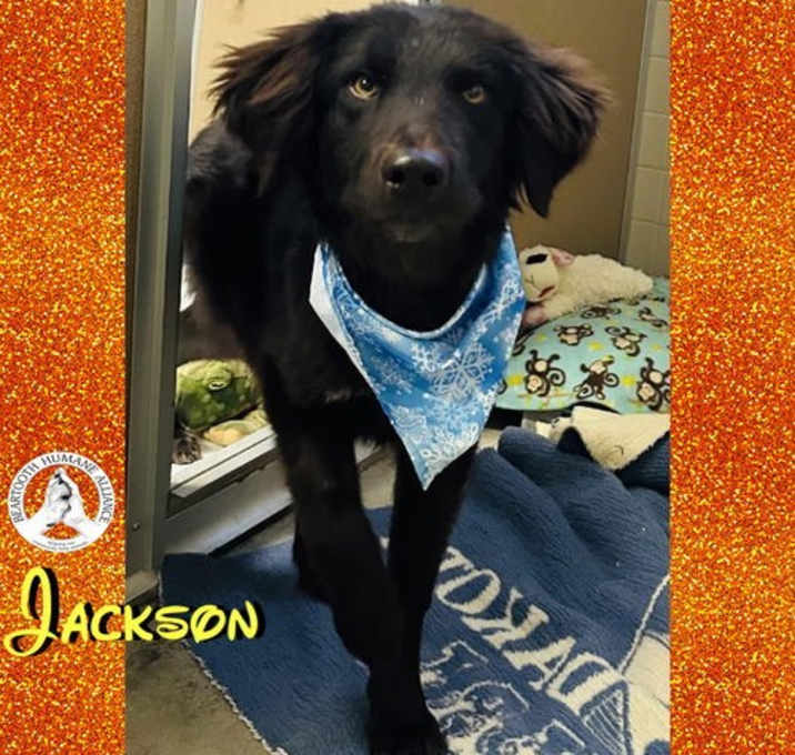 Photo of Jackson