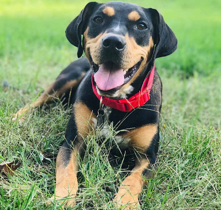 Photo of Max