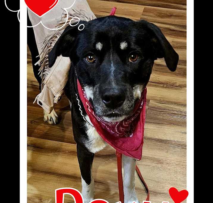 Photo of Roxy