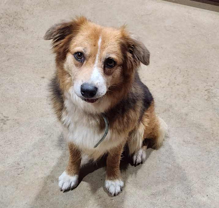 Photo of LuLu