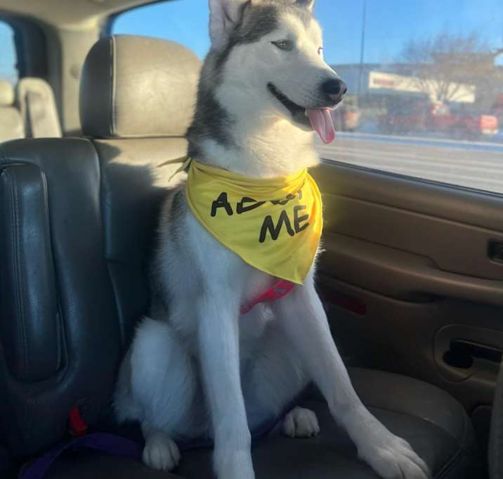Photo of Storm