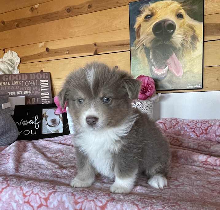 Photo of Benny