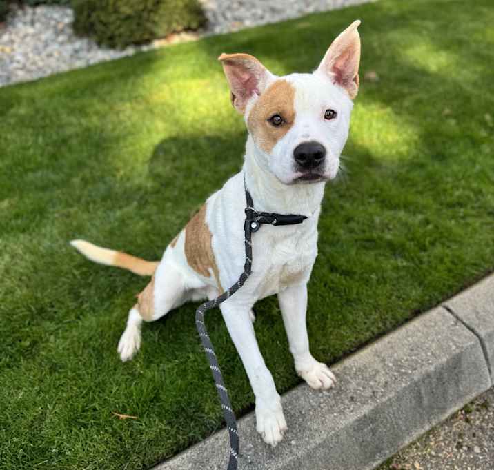 Photo of Beethoven