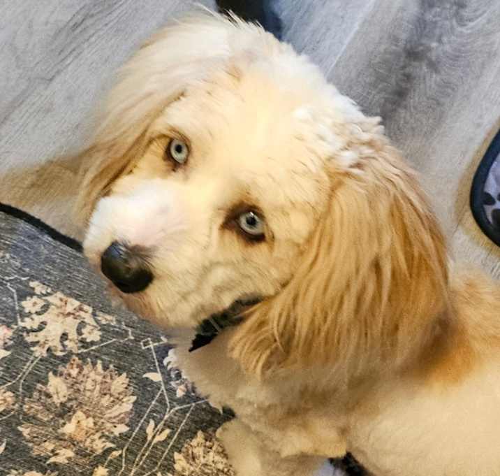 Photo of Betty