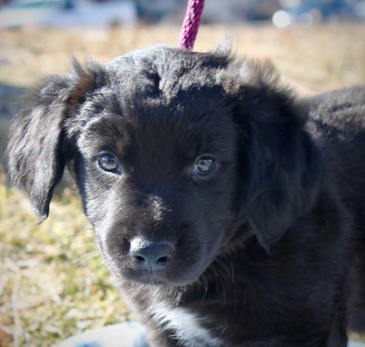 Photo of Jet
