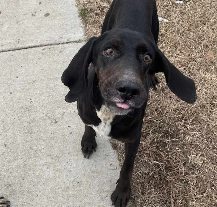 Photo of Ruby