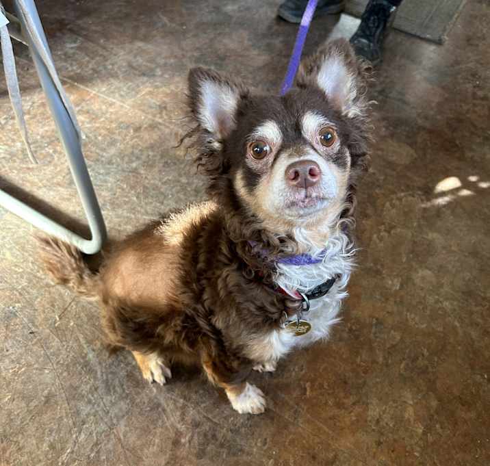 Photo of Rocky