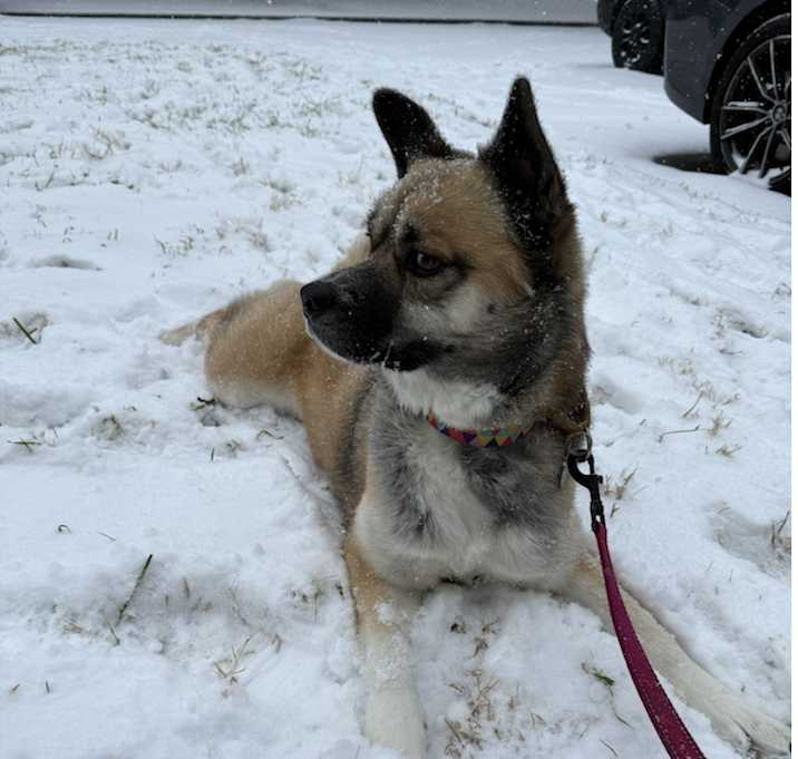 Photo of Xena