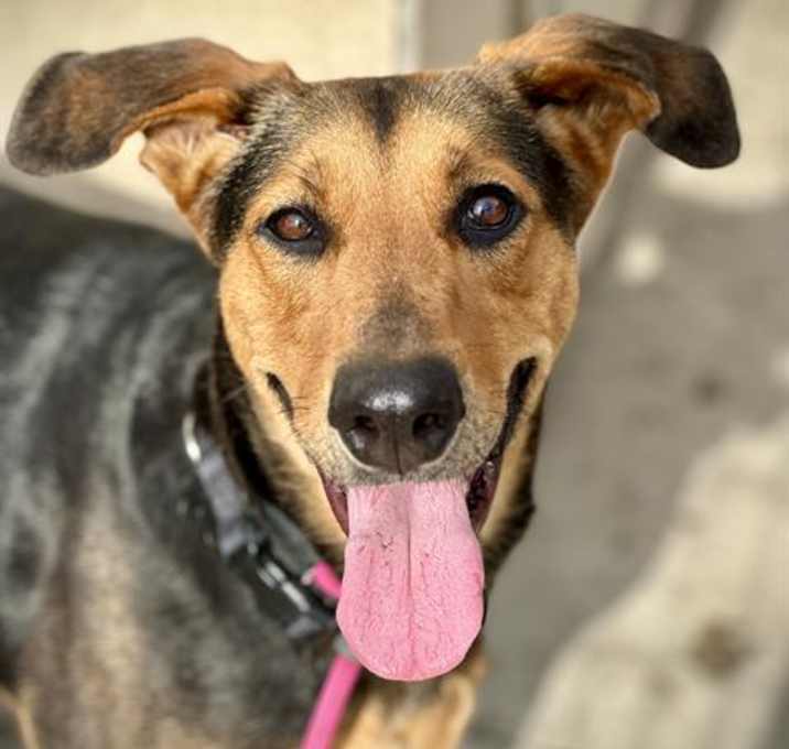 Photo of JUBILEE