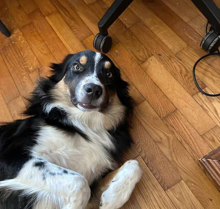 Photo of Walter